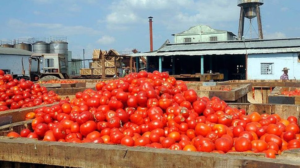 Foto: http://www.diariohuarpe.com/