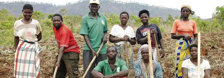 Histórico: la ONU adopta la Declaración sobre los Derechos Campesinos, ahora el foco está en su implementación.