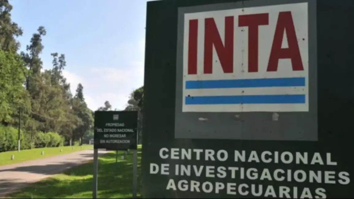Milei ignora el rechazo legislativo y eliminó la Dirección Nacional del INTA 