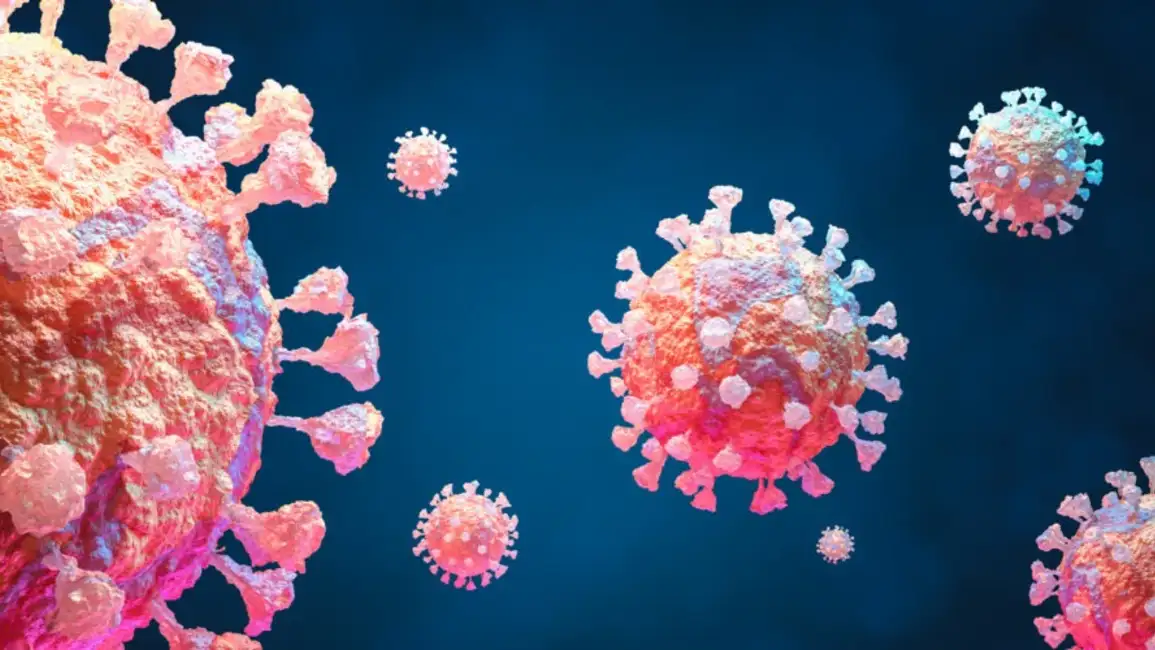 CORDOBA: nueva variante de COVID, detectan tres nuevos casos de «Frankenstein»