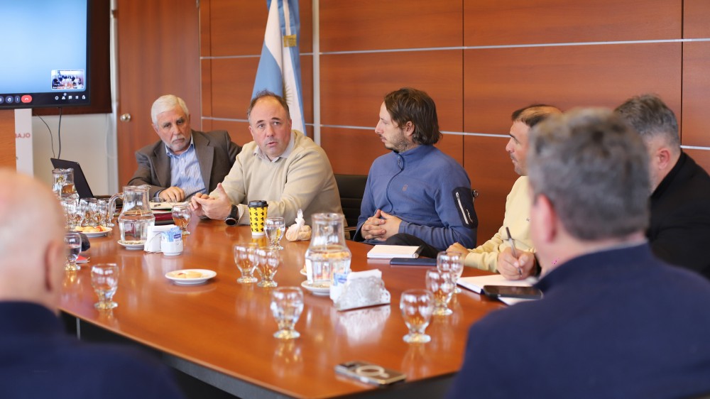 El sector vitivinícola pide controles estrictos para garantizar uva libre de lobesia botrana en San Juan