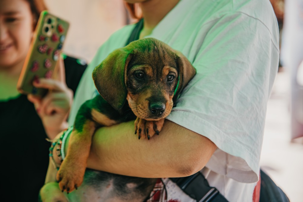 Los quirófanos móviles acercan atención gratuita a barrios de Chimbas y Rawson