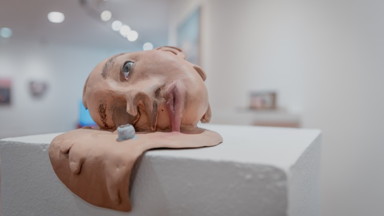 El Museo Franklin Rawson inauguró el último bloque expositivo del año