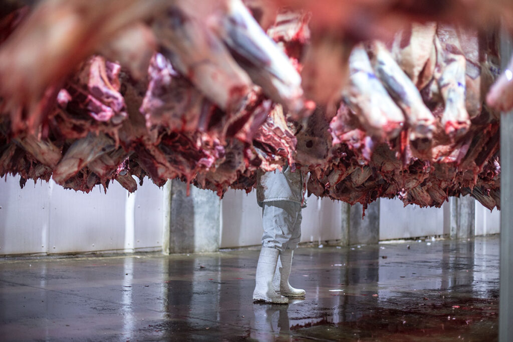 Foto: Diego Martinez@@ildieco_diegomartinezph