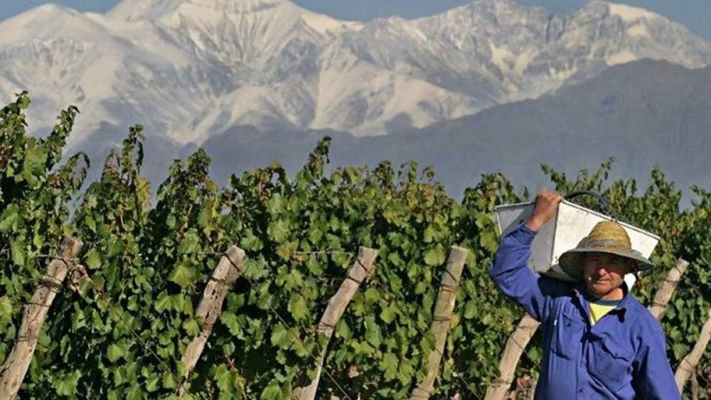 El Gobierno provincial adelantó los créditos de cosecha y acarreo y ya hay solicitudes aprobadas