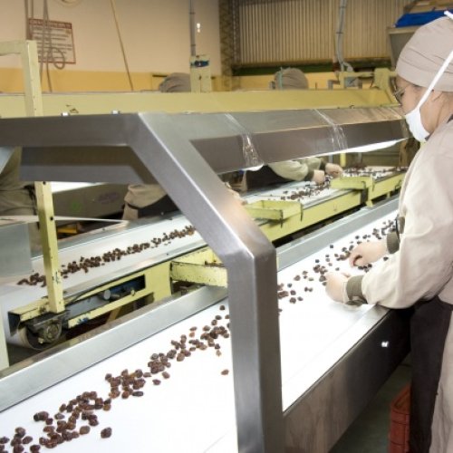 Recesión total: la economía se desplomó en septiembre por sexto mes consecutivo