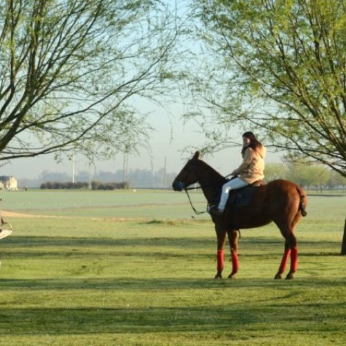 Detectaron 145 conexiones ilegales en un country y club de polo de Cañuelas