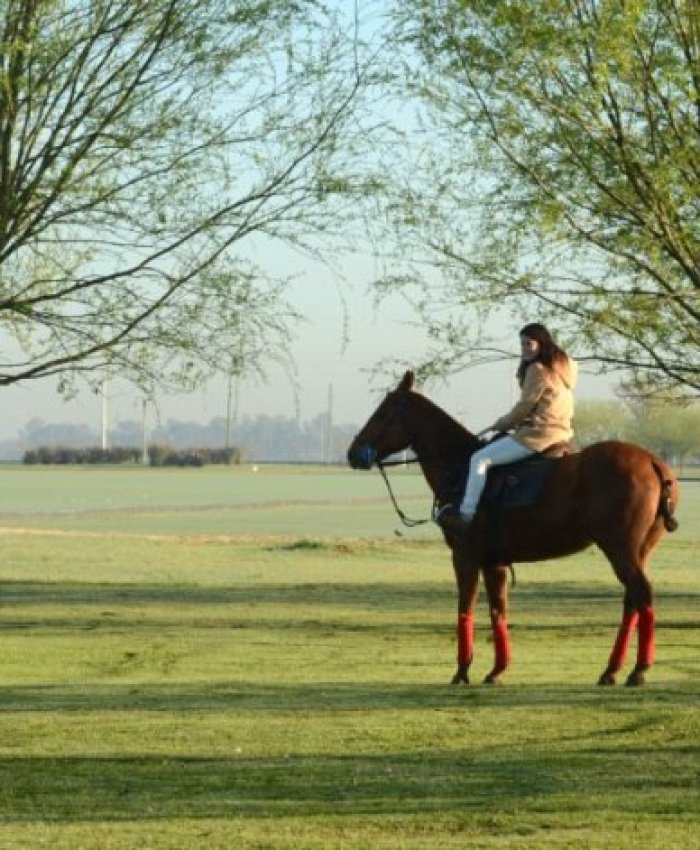 Detectaron 145 conexiones ilegales en un country y club de polo de Cañuelas