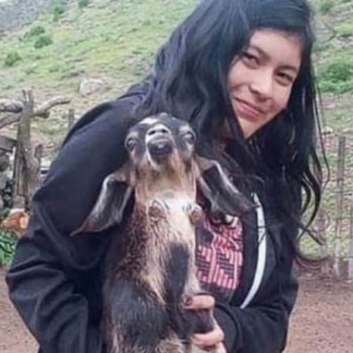 Ni Una Menos: encontraron muerta a la chica que estaba desaparecida en Catamarca