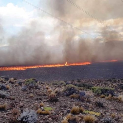 Chubut: incendios en Trevelin afectan a 6.400 hectáreas y Patricia Bullrich no logra pararlos