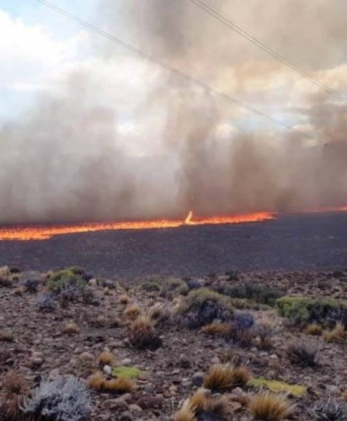 Chubut: incendios en Trevelin afectan a 6.400 hectáreas y Patricia Bullrich no logra pararlos
