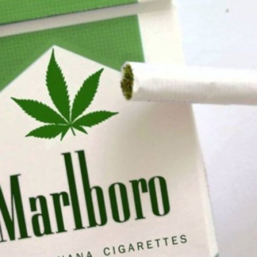 Marlboro entra en el mercado de la marihuana