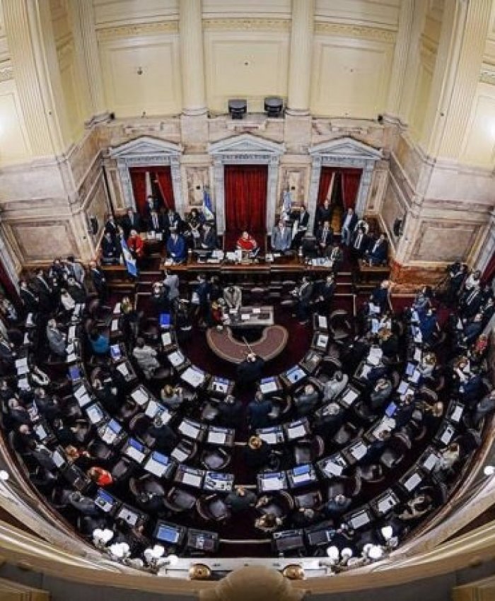 El Senado aprobó por unanimidad el proyecto de ley de protección de las víctimas de delitos