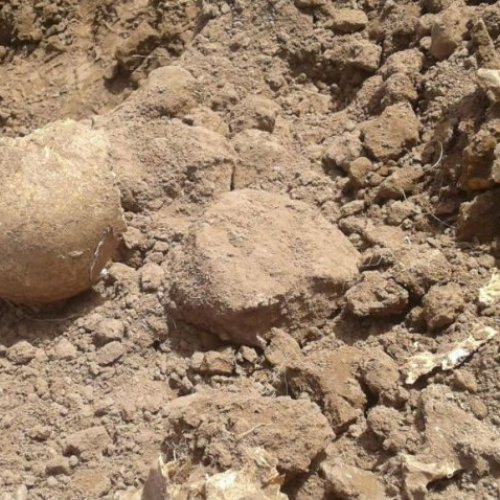 Salta: descubren restos humanos y sospechan que podrían ser de desaparecidos