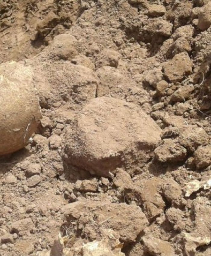 Salta: descubren restos humanos y sospechan que podrían ser de desaparecidos