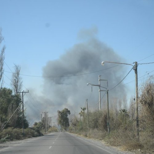 Debido al viento zonda se registraron incendios en seis departamentos