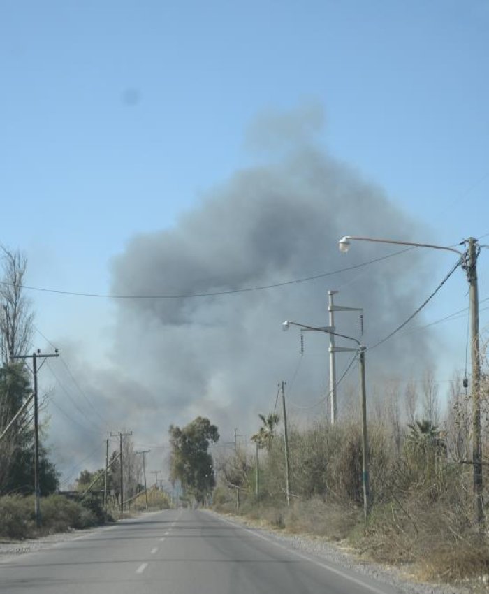 Debido al viento zonda se registraron incendios en seis departamentos