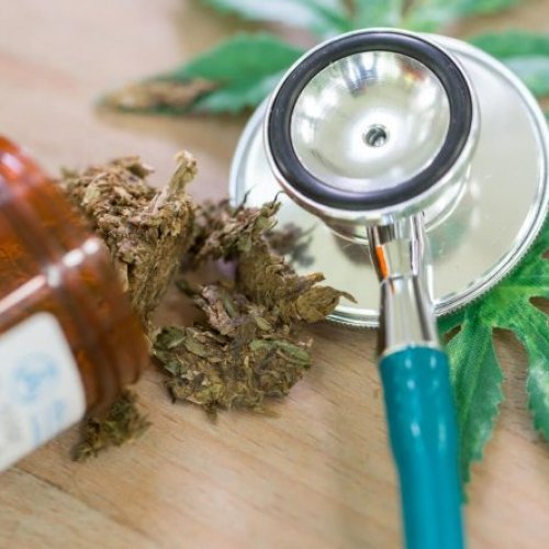 Comienza el primer estudio con marihuana medicinal en el Garrahan