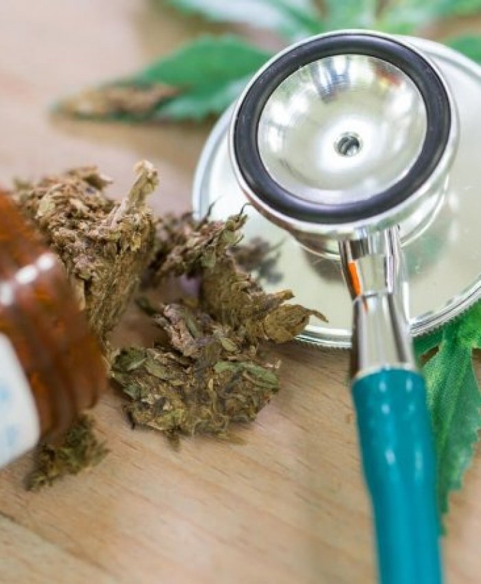 Comienza el primer estudio con marihuana medicinal en el Garrahan