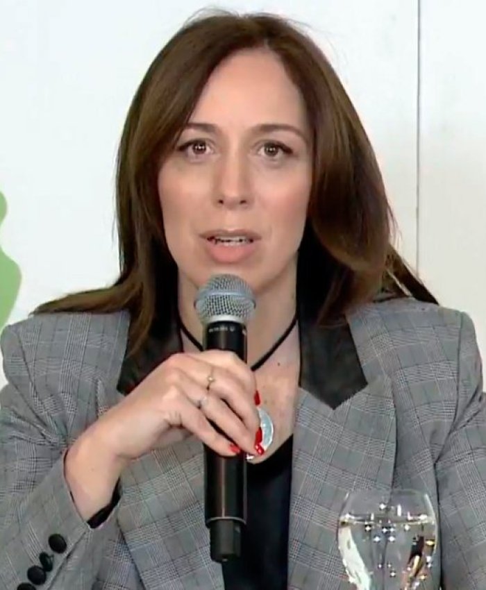 Aportantes truchos: Vidal le pidió la renuncia a la tesorera de la campaña 2017