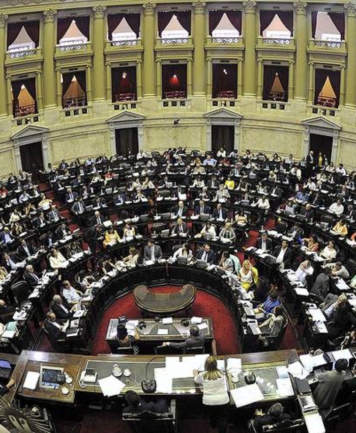 Diputados le dio media sanción a la ley de Solidaridad y hoy la tratará el Senado