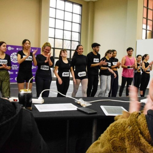 Abren la inscripción para casting de artistas de la FNS 2025