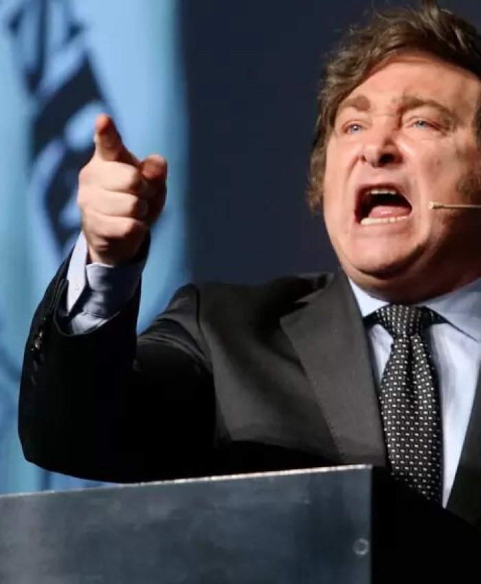 ¿Cuál es la propuesta de Milei sobre la educación?