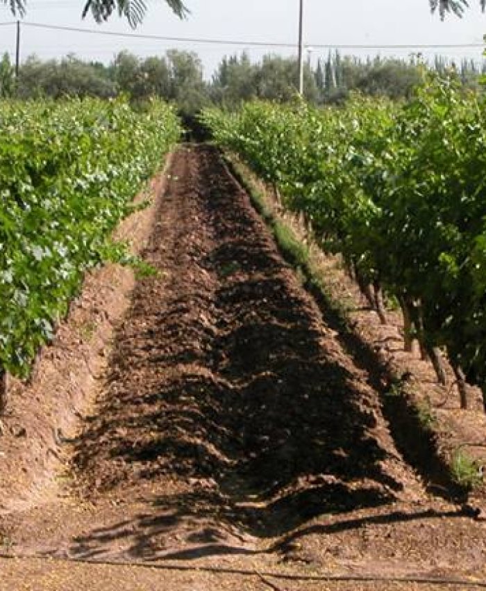 Solicitada CIA SAN JUAN: ante los trascendidos en los medios de difusión locales, señalando la posibilidad de reemplazar el actual Vicepresidente del INV, Ing. Agr. Hugo Carmona