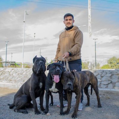 Tenencia Responsable de Macotas: cronograma de actividades para los próximos días