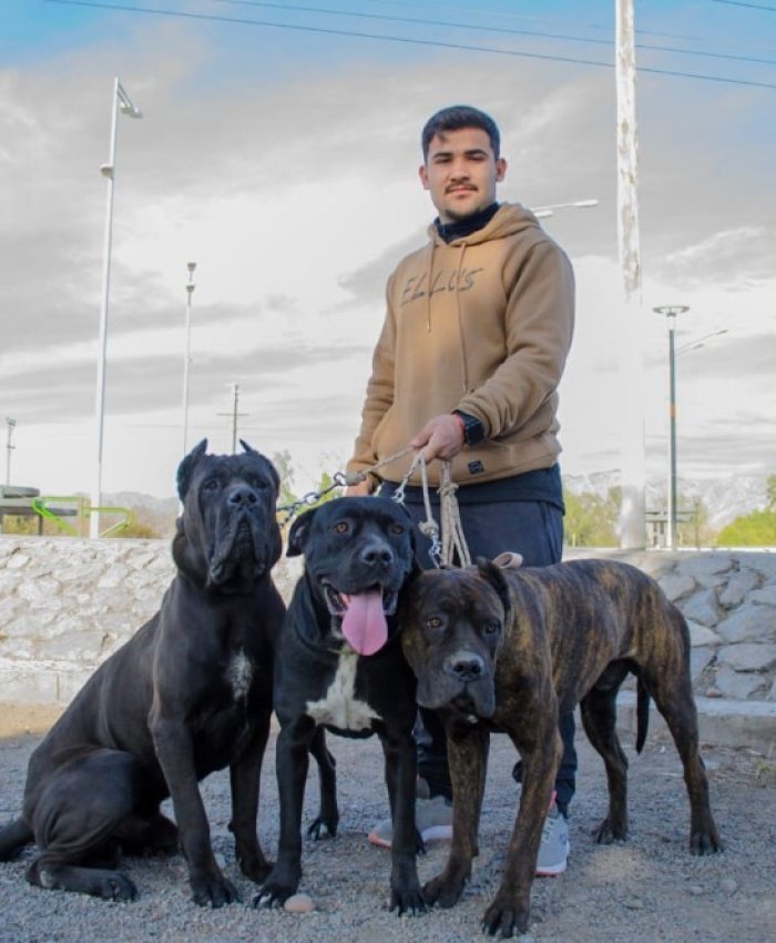 Tenencia Responsable de Macotas: cronograma de actividades para los próximos días