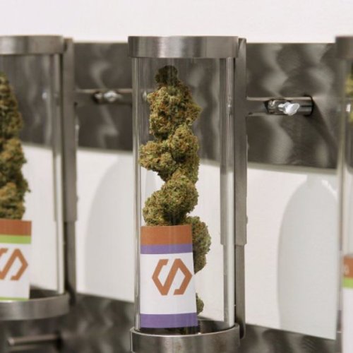 Uruguay: comienzan a vender marihuana en las farmacias
