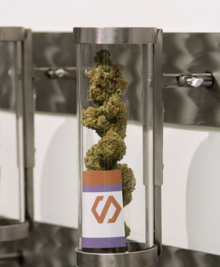 Uruguay: comienzan a vender marihuana en las farmacias