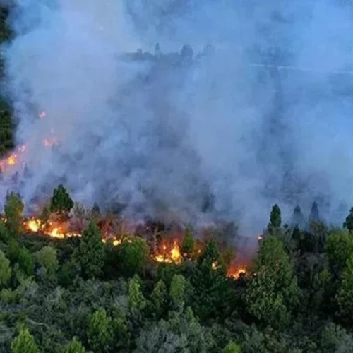 ARGENTINA: hay focos de incendios activos en cinco provincias, Corrientes, Río Negro, Misiones, Chubut y Formosa