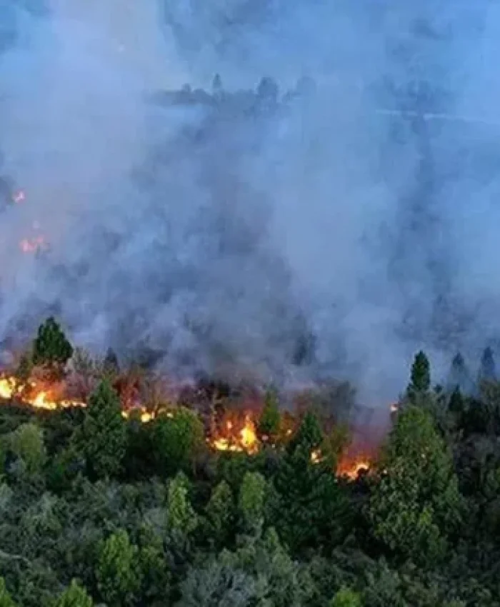 ARGENTINA: hay focos de incendios activos en cinco provincias, Corrientes, Río Negro, Misiones, Chubut y Formosa