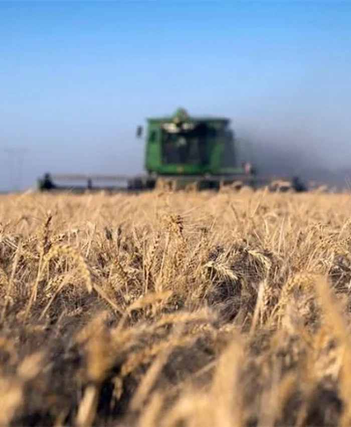 El Gobierno retrotrae el precio del trigo hasta febrero