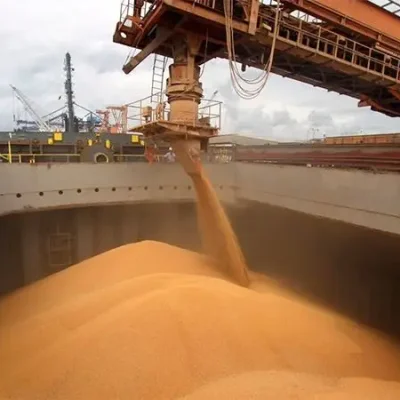 «LO PEOR YA PASO»: desesperado por los dólares, el Gobierno eliminó retenciones a todos los granos