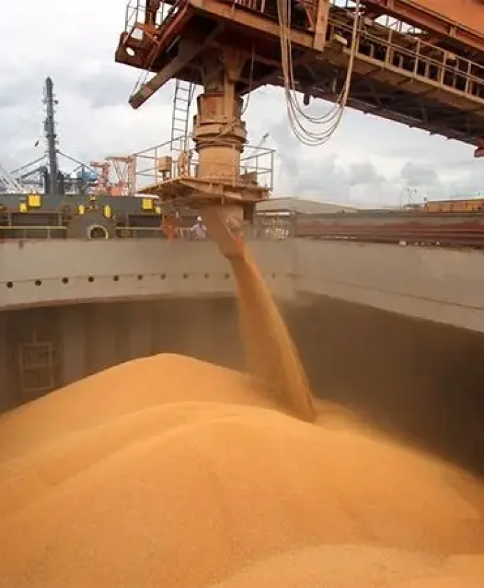 «LO PEOR YA PASO»: desesperado por los dólares, el Gobierno eliminó retenciones a todos los granos