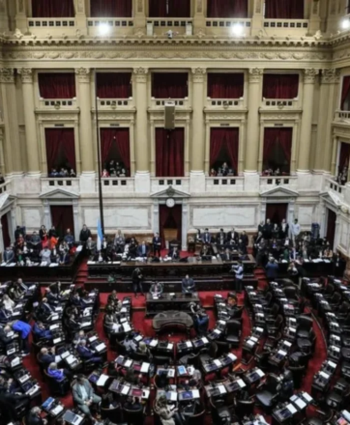 CÁMARA DE DIPUTADOS: se aprobó en general la Ley Bases ¿Cómo votaron los diputados sanjuaninos?