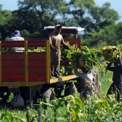 Minutos antes de la esclavitud: Javier Milei y la SRA buscan derogar la ley del peón rural