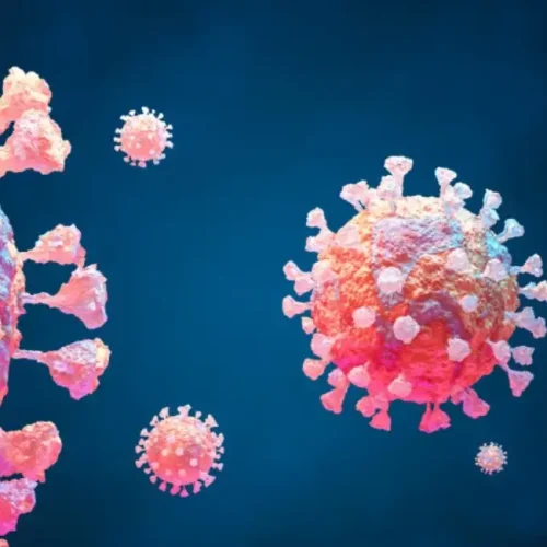 CORDOBA: nueva variante de COVID, detectan tres nuevos casos de «Frankenstein»