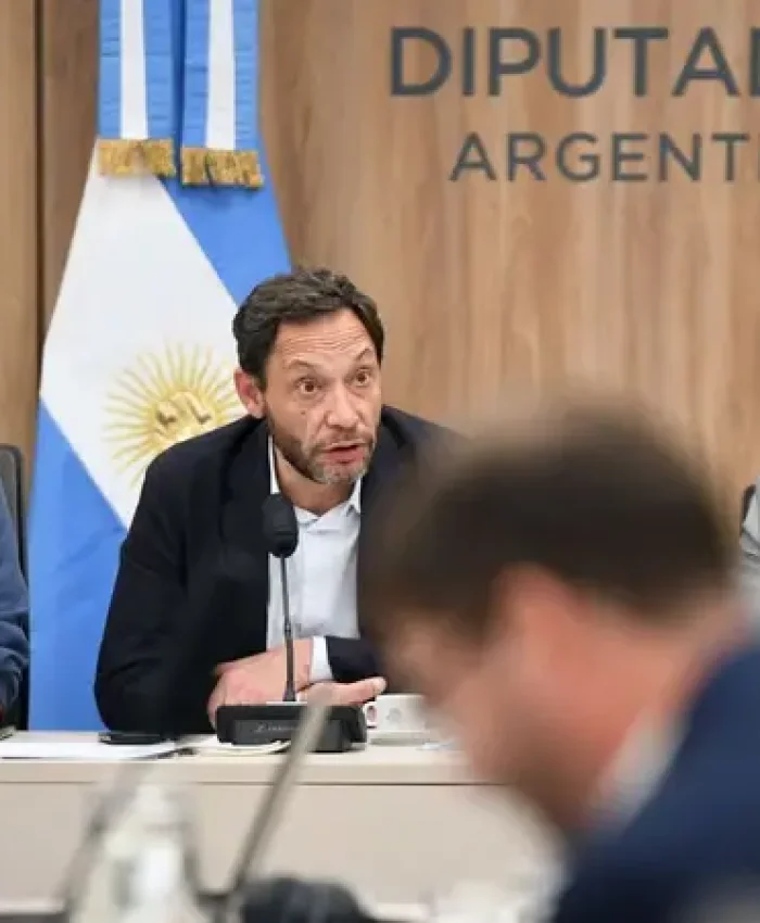 CAMARA DE DIPUTADOS: la comisión $Libra redobla la presión y pide citar a Karina Milei