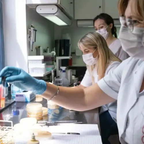 ALERTA: confirman la llegada de la gripe H3N2 subclado K a la Argentina: ya hay 3 contagios confirmados