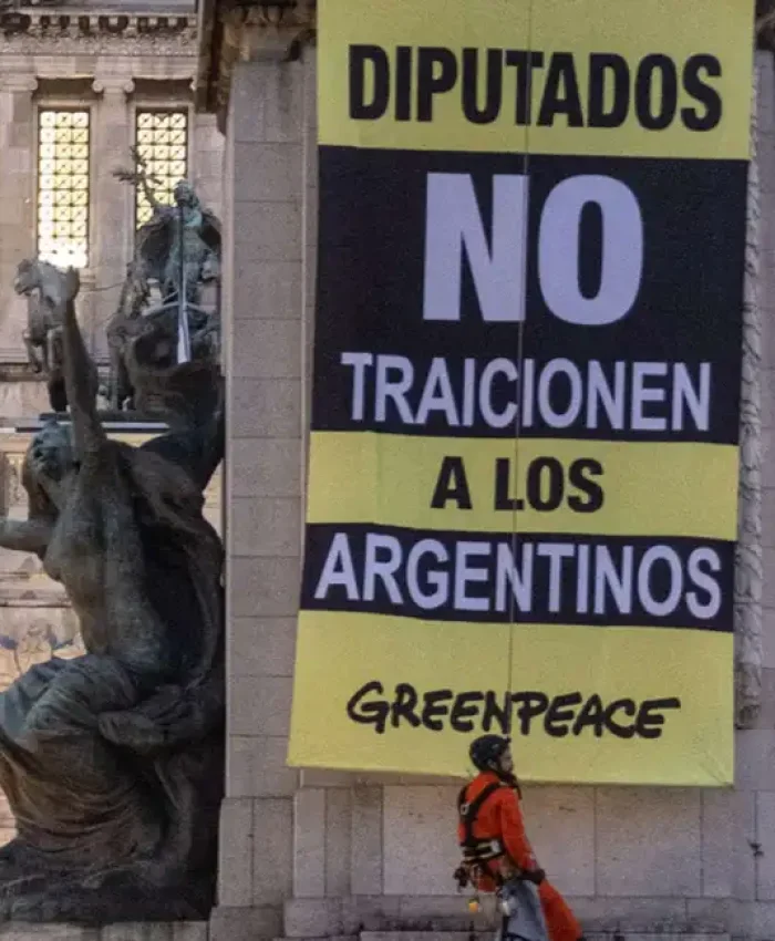 Activistas de Greenpeace fueron detenidos por manifestarse en el Congreso contra la reforma de la Ley de Glaciares que se tratará en Diputados