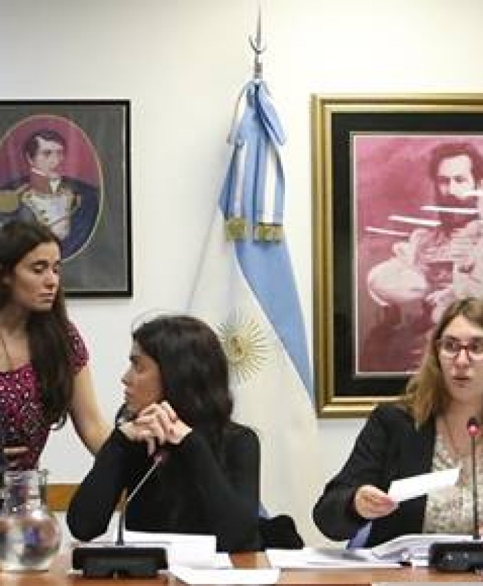 El bloque del FPV logró dictamen en diputados para ampliar partidas para ciencia e investigadores