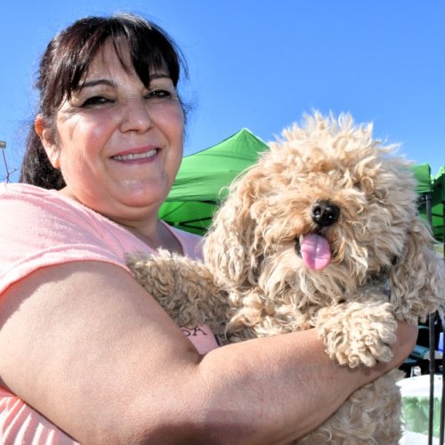 San Juan refuerza su política de protección animal con una jornada de esterilización gratuita