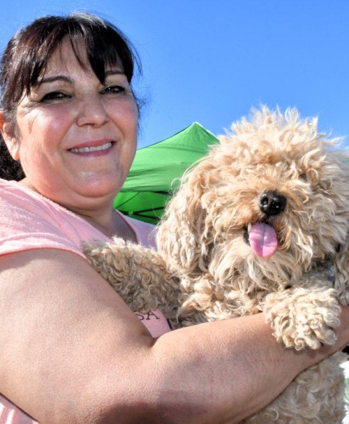 San Juan refuerza su política de protección animal con una jornada de esterilización gratuita