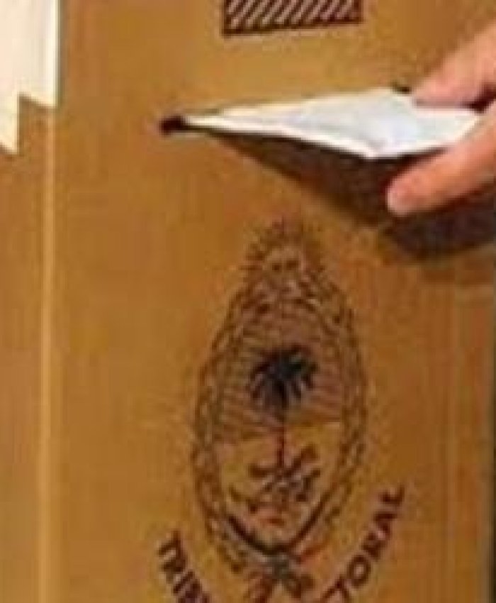 El Gobierno repartirá $243 millones como aporte de campaña