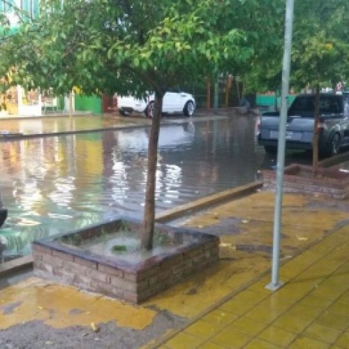 Comienza julio con ola polar