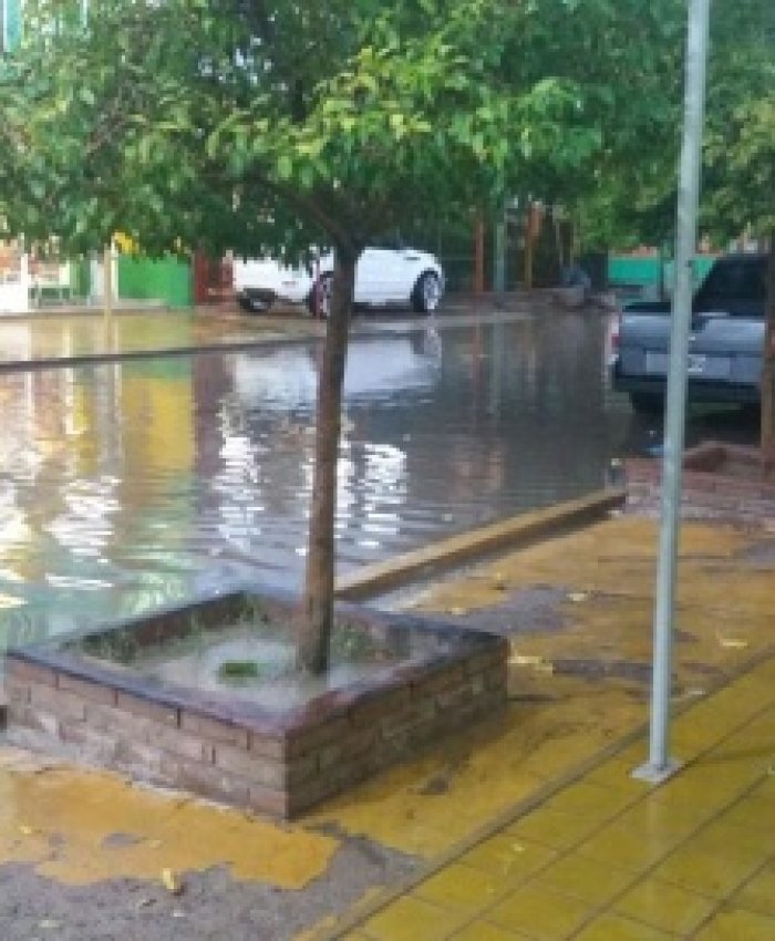 Comienza julio con ola polar