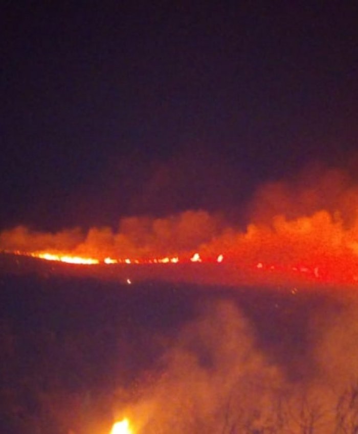 Alerta: descomunal incendio amenaza varios puestos de Jáchal
